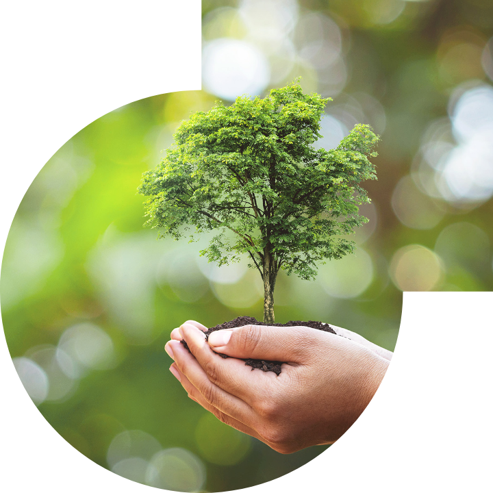 关怀人类、文化、环境与社会